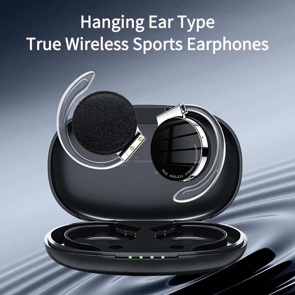 F2 TWS Earphones With Micropho - Sports Earphone Hook review and price